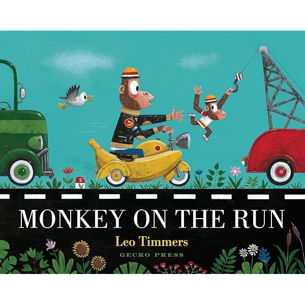 Night Monkey, Day Monkey: Donaldson, Julia, Richards, Lucy